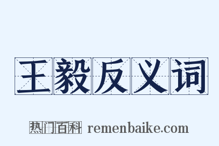 王毅反义词是什么意思的图片